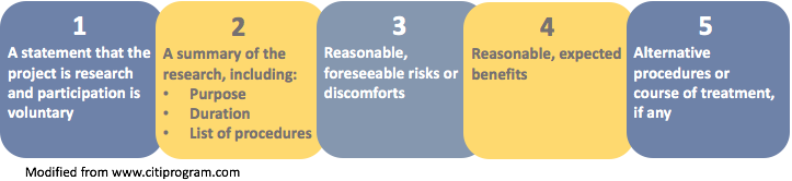 Key Information are:  research with voluntary participation, summary of the research, risks, benefits, and alternatives