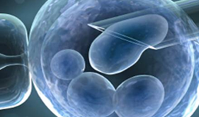 Human Pluripotent Stem Cells Compliance Program